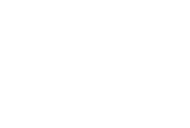 アルテマイスター